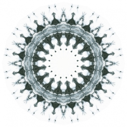Rorschach Mandalas « Variations on a Theme #illustration #rorschach