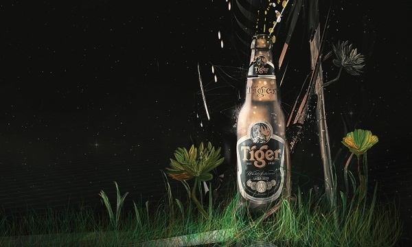 Tiger Translate | SaadArt.com | The Art of Saad Moosajee #abstract