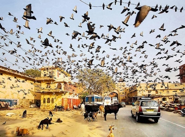 Photography Blog: Sony World Photography Awards 2013 #photography
