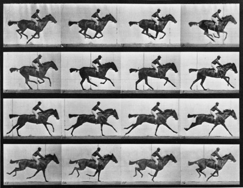 Eadweard Muybridge | PICDIT #photography #photo #black