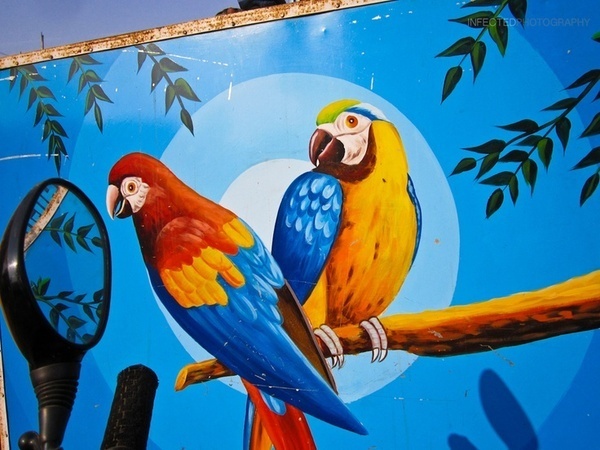 The Virtual World by Shekhar Kumar, via 500px #birds #wall #parrot #painting