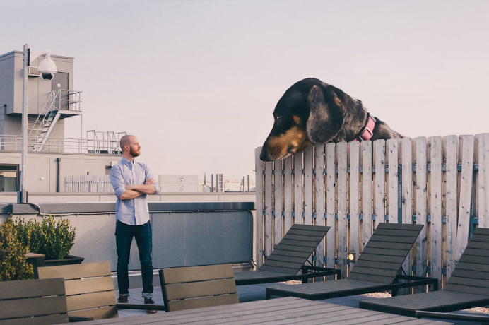 Mitch Boyer Photoshops His Vivian the Dog Into a Giant