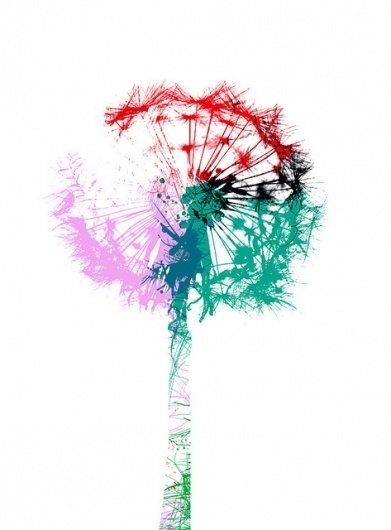 CHRIS KEEGAN #chris #pink #illustration #dandelion #flower #keegan