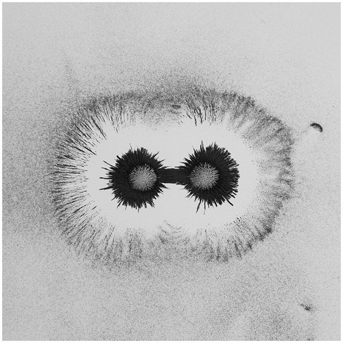 The universe is not being pushed from behind; it's being pulled... but does it float #field #pattern #iron #ferrous #magnetism