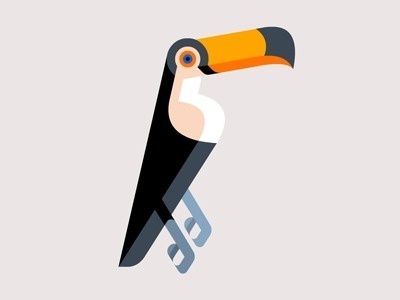 Tocotoucan_dribbble #illustration #brill #josh