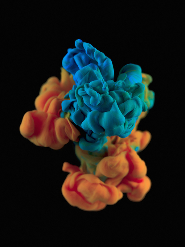 Blackgroundalberto seveso feeldesain 13 #photos #ink #seveso #photography #underwater