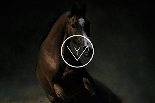 Y. V. — by Fon Kumuro #horses #branding #identity #logo #kumuro #fon