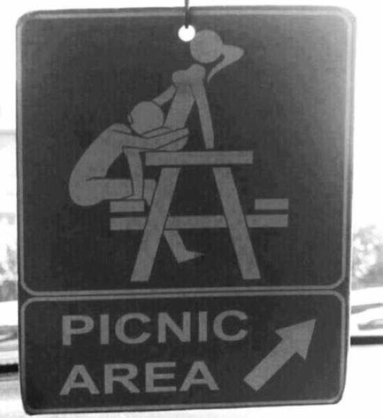 1525013_10203277514351969_548671521197753978_n.jpg (550×601) #picnic #sex #funny