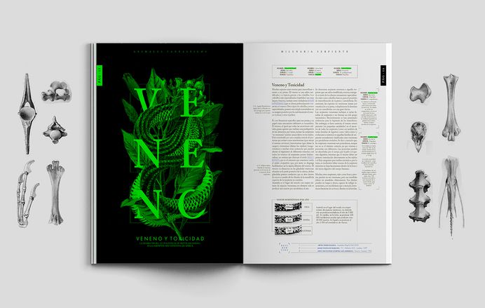 Milenaria Serpiente on Behance