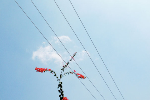 Alexis Vasilikos | PICDIT #photo #photography