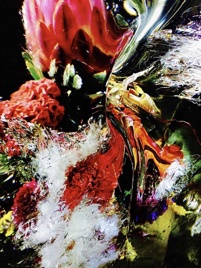 flowers, Makoto Azuma