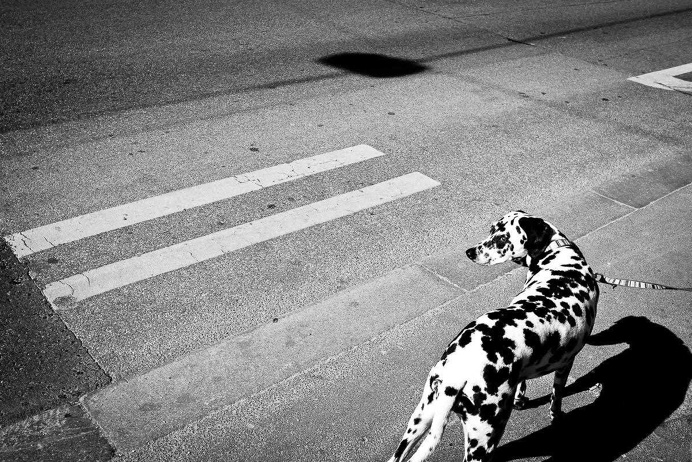 Beautiful Street Photography by Enrico Markus Essl