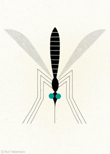 bug, wing, wings, illustration
