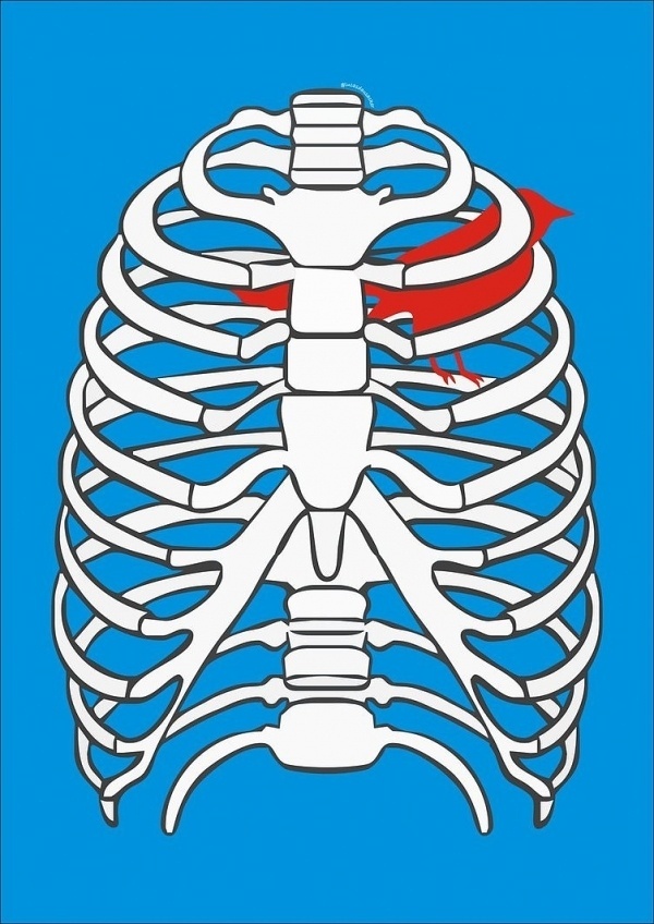 human cage by ~lucasdausacker #vector #red #rib #bird #cage #ilustration #blue