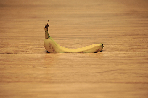 Make Something Cool Every Day 2009 on Behance #banana