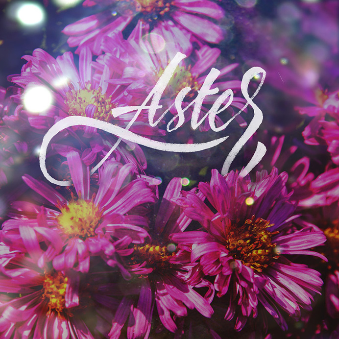 Just Flowers & Letters