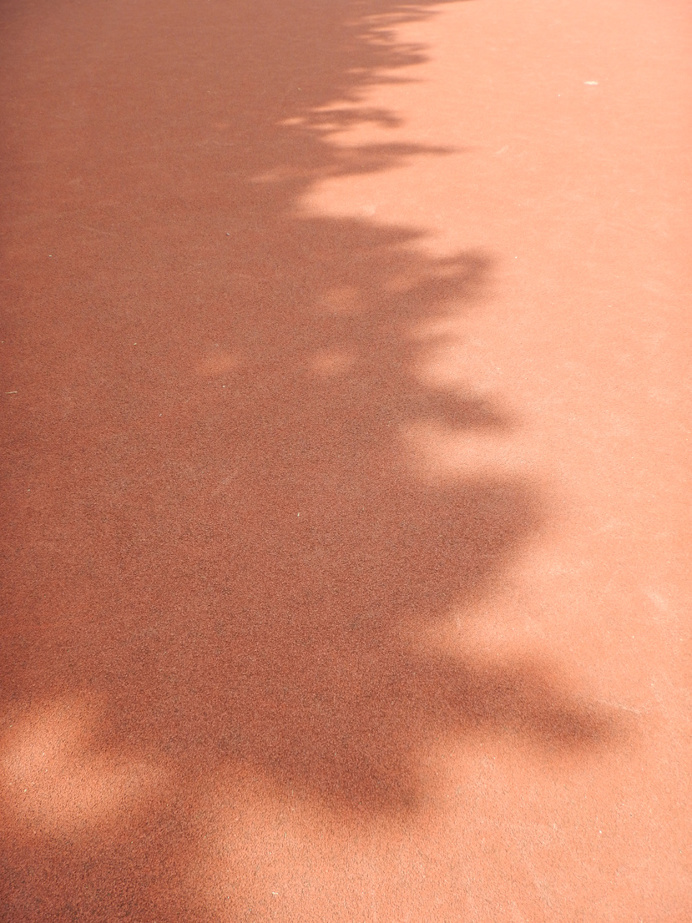 PHOTOGRAPHIE (C) [ catrin mackowski ]