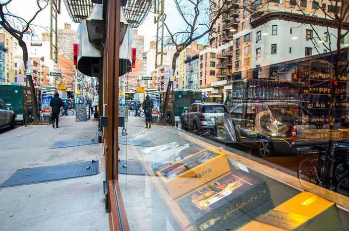Shop Cats of New York by Andrew Marttila