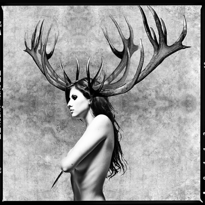 Cargo #deer #white #woman #black #photograph #and