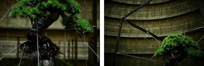 A Suspended Bonsai Inside an Abandoned Power Plant