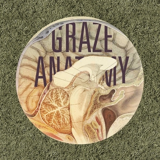 CIRCULAR° on the Behance Network #fiskerstudio #visser #rafdevis #de #graze #anatomy #fisker #ralph #greys #raphael