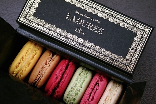 SQUA.RE » Blog Archive » Discovering the Origin of the Macaroon #packaging #design #graphic #identity