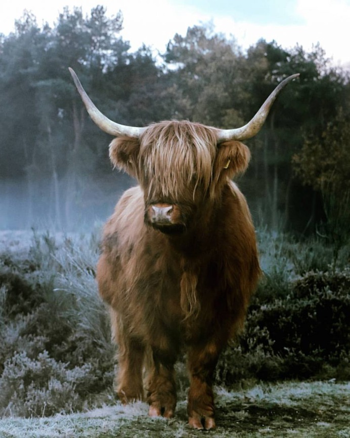 Beautiful and Extraordinary Outdoor Photography by Karen Heslinga