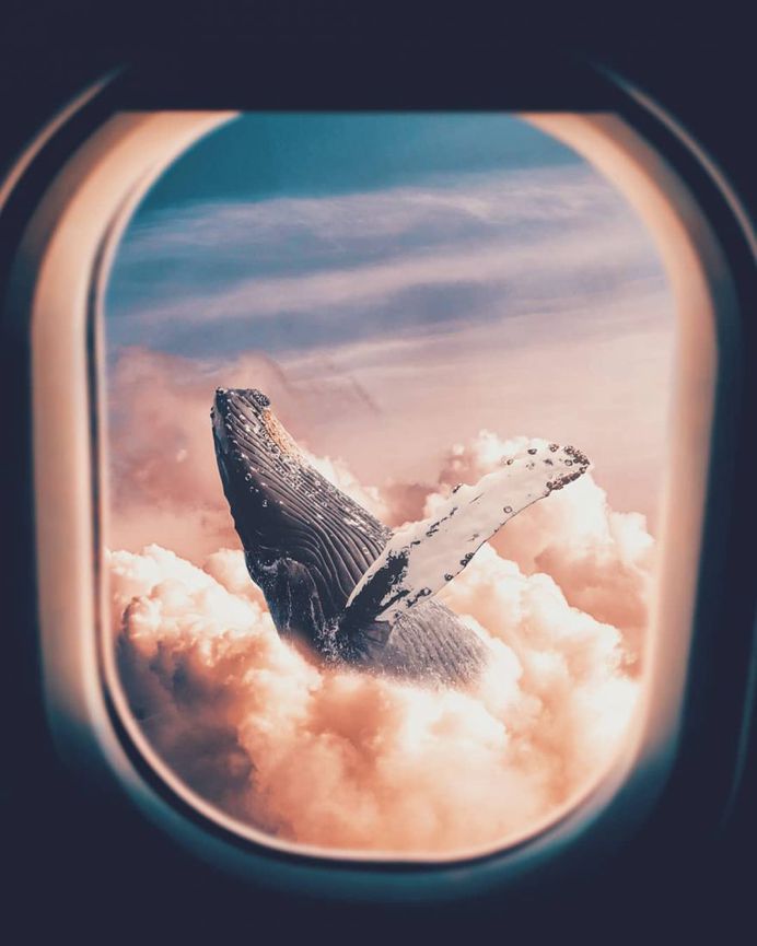 Surreal and Dreamlike Manipulations by Herri Susanto