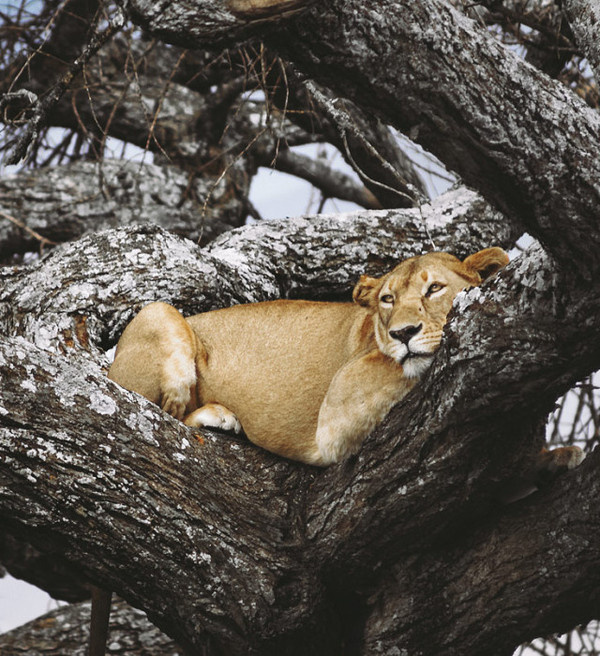 Photography by Carl John Spencer #inspration #photography #art