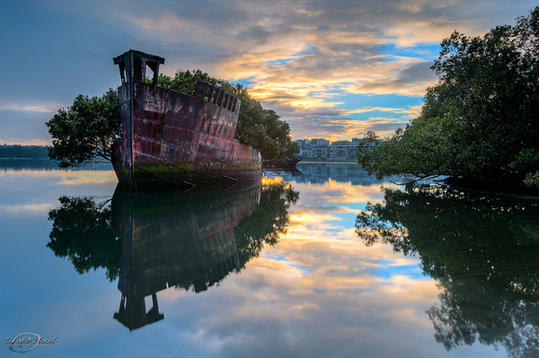 A 102 Year Old Transport Ship Sprouts a Floating Forest #floating #photography #nature #boat #ship #trees