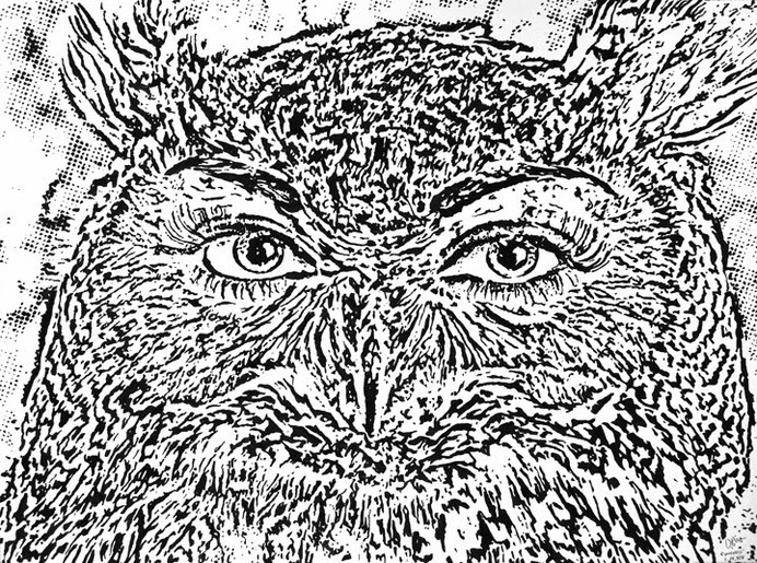 Witness, by Dan Bina #ink #ny #owl #bina #surrealism #dan #paper #zoomorphism #brush #art #drawing #brooklyn