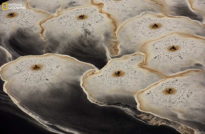 Spectacular Entries From the National Geographic Nature Photographer of the Year 2016