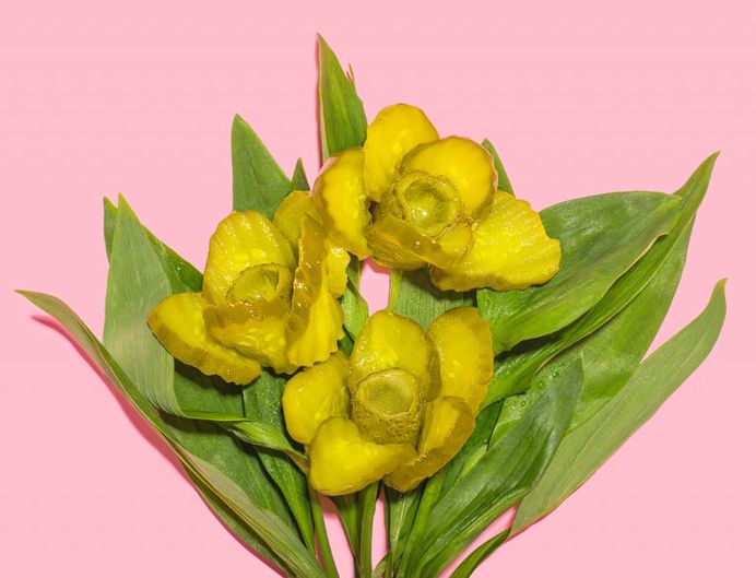 Unique Color Aesthetic: Food Pun Photography by Lizzie Darden