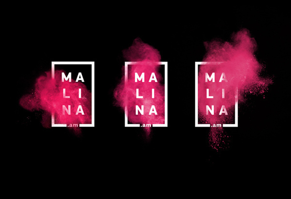 Rasphberry Boom on Behance #logo #malina #raspberry #branding