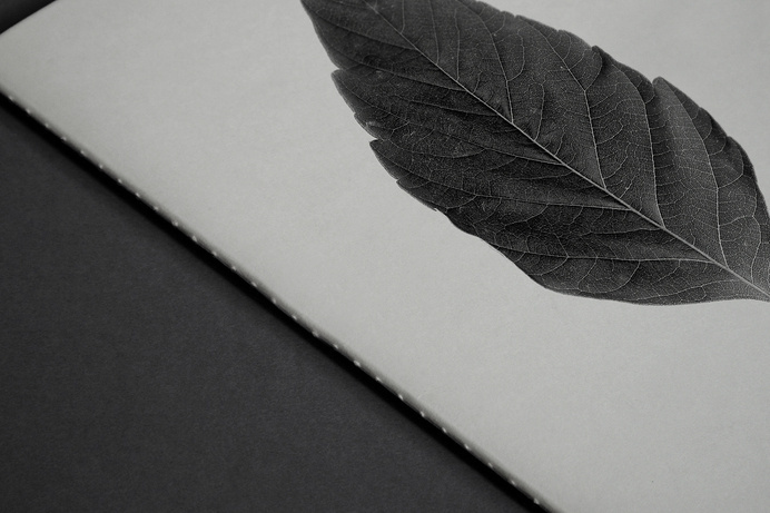 Matthew Hancock / Four Great Titchfield Street #logotype #leaf #design #graphic #marque #cover #brand #identity #logo