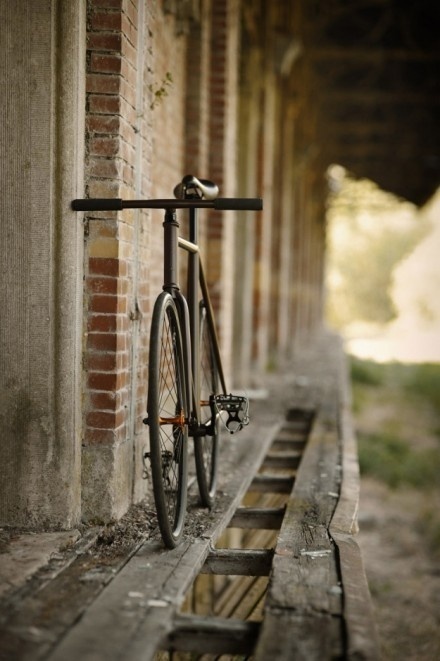 Askr•Archiverr•BIO #vintage #bicycle