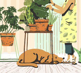 illustration