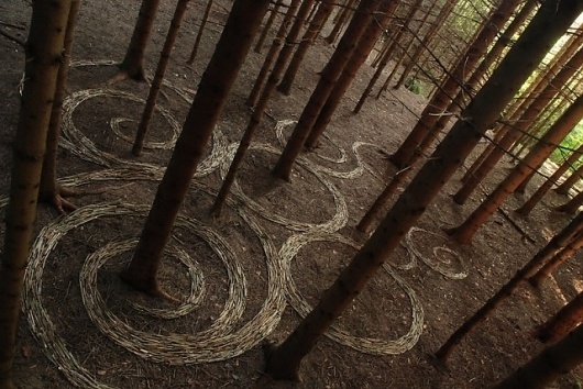 Colossal | An art and design blog. | Page 5 #sylvain #meyer #nature #art