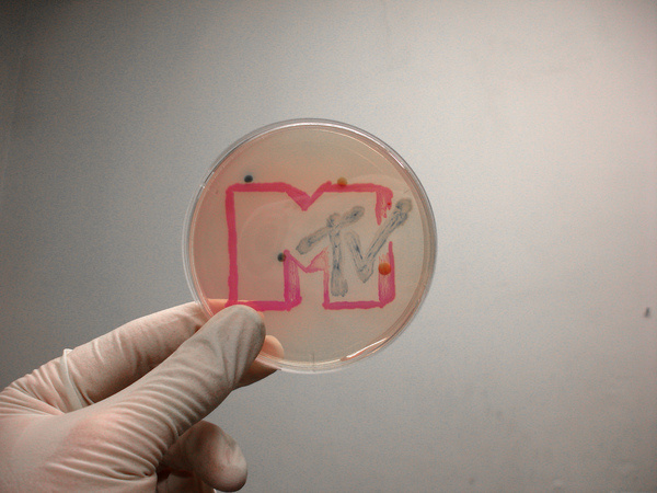 2662558716_2865694d43_b #based #mtv #time #cells