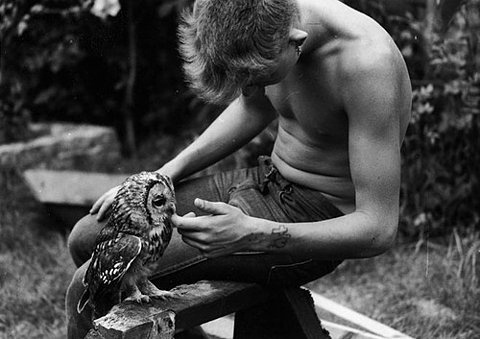 8a24dcd236f6d2cd9ce571b9f6b7f41e297bc698_m.jpg (480×339) #owl