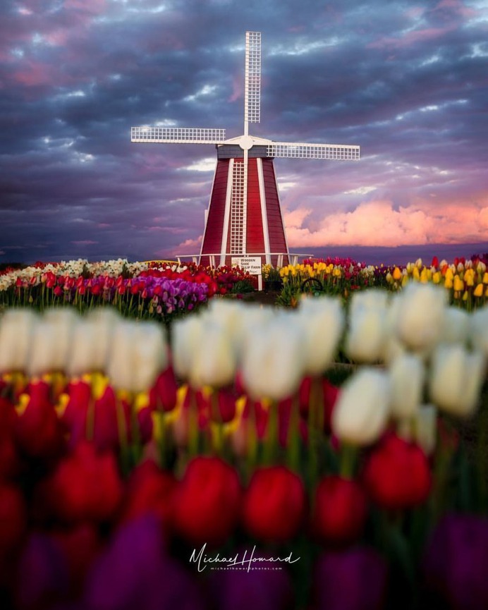 Wonderful Outdoor and Landscape Photography by Michael Howard