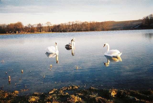 35mm Photography by Julia Jones #35mm #photography #inspiration