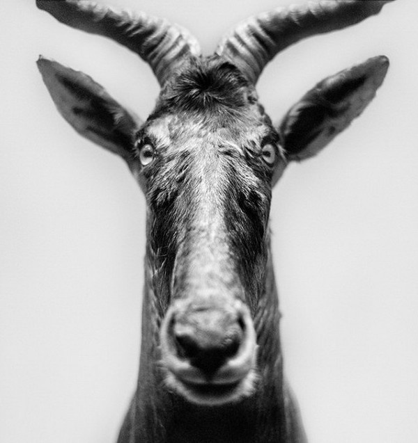 Black and White Photography by Andrea Alessio #inspiration #white #black #photography #and