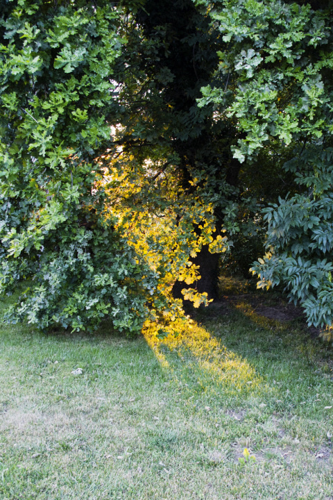 Jordane Prestrot | PICDIT #photo #photos #photography