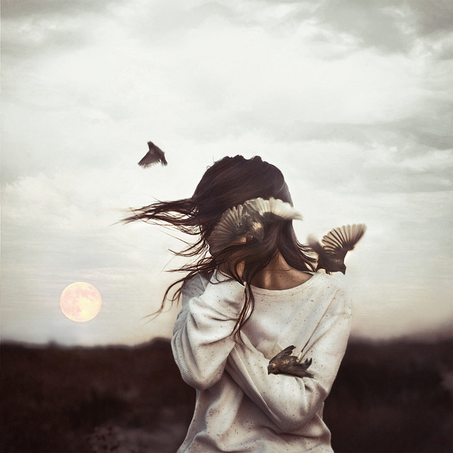 Tangled Flight by robby cavanaugh #photography