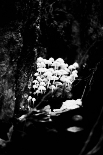 Ici Même (2011-2012) : #photography