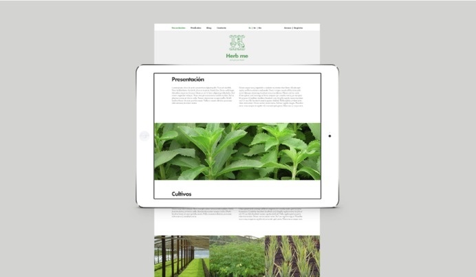 herb me web #herbal #herb #design #me #eco #type #web #green