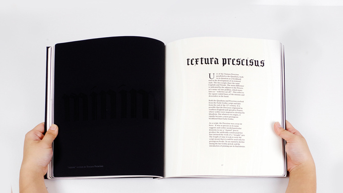 gothic scripts by michelle wong