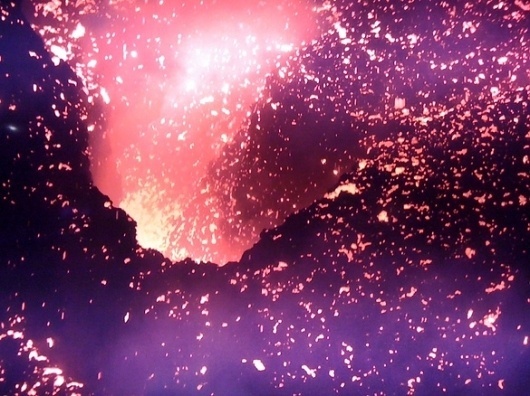 M a blog / Eiichi Izumi [Tokyo] #roots #of #volcano #life
