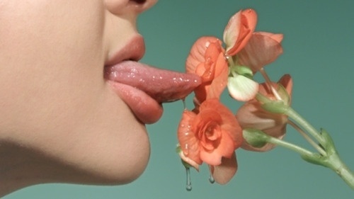 ↪ #wet #lick #flower #colors #tongue